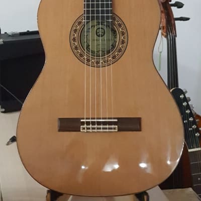 HORA REGUN N1014 classical guitar, solid wood, concert image 1
