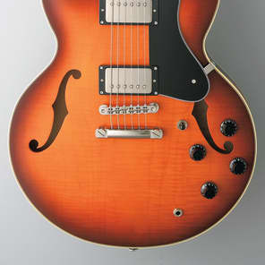 FGN MSA-HP Masterfield HH Hollow Body with Rosewood Fretboard Antique Sunburst