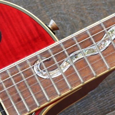 Jay Turser Serpent Les Paul Stle Guitar Trans Red Flametop + Case image 8