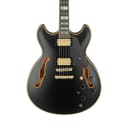 Ibanez JSM20THBK John Scofield Signature Electric Guitar in Black