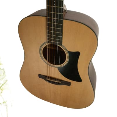 Ibanez AASD50LG advanced acoustic series dreadnought guitar image 2