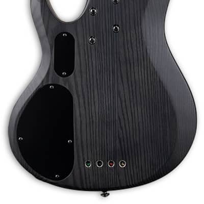 ESP LTD B-204SM B Series Bass Guitar, Spalted Maple Top, See Thru Black Satin image 3