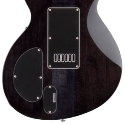 ESP LTD BW-1 FMET Ben Weinman Electric Guitar (with Case) image 3