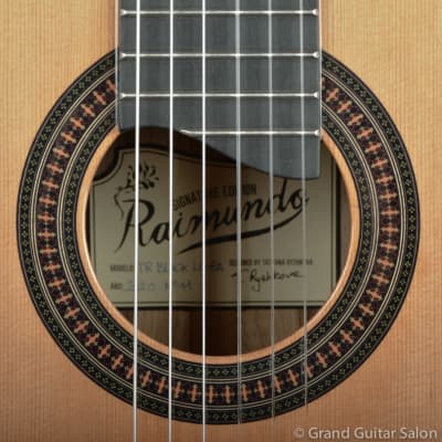 Raimundo Tatyana Ryzhkova Signature model, Cedar top  classical guitar image 21