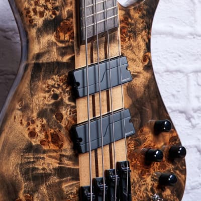 Spector NS Dimension Multi-Scale 4-String Bass Guitar - Super Faded Black image 11