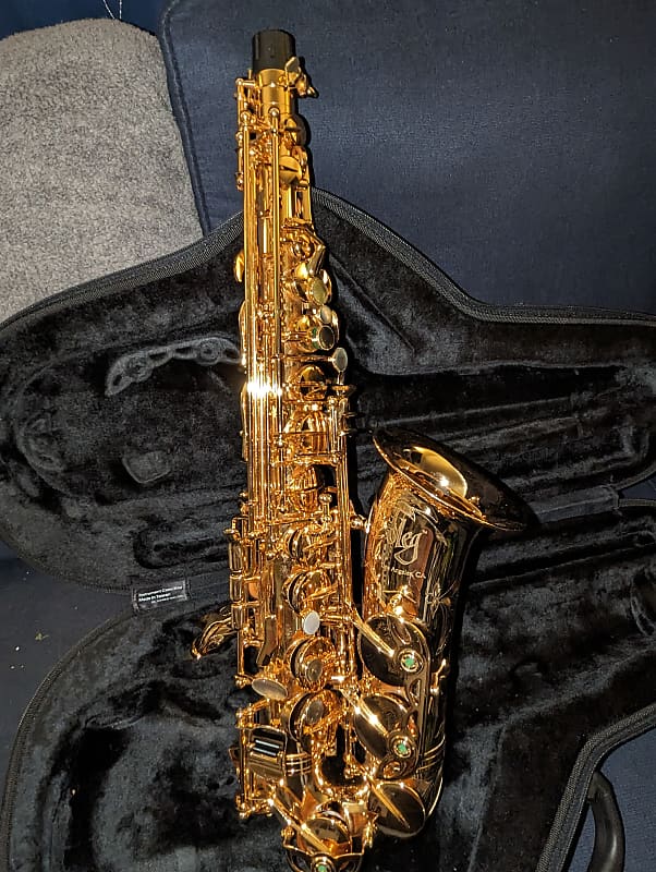 Oleg Professional Alto Saxophone Gold Finish Reverb
