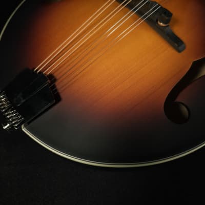 Eastman MD305E-SB A Style Mandolin with Pickup and Bag image 8