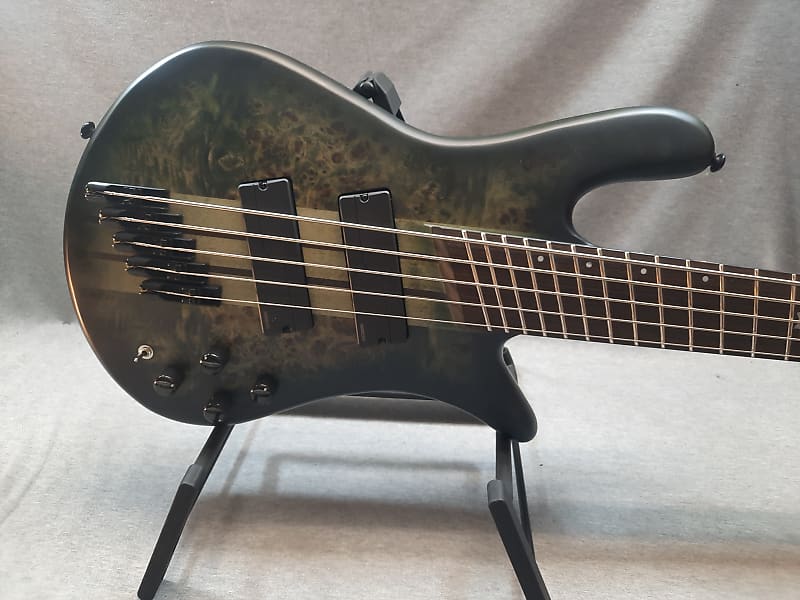 Spector NS Dimension 5 2023 - Haunted Moss Matte | Reverb