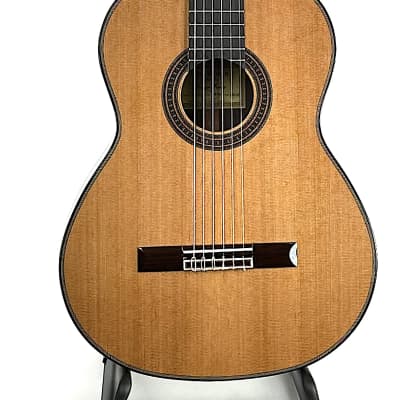 Kenny Hill New World Player P650C - 650mm Cedar/Indian rosewood - All solid wood guitar - 2023 for sale