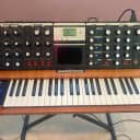 Moog  Minimoog Voyager - Serial number 2417 - Comes with 7 banks of presets (over 800 presets)