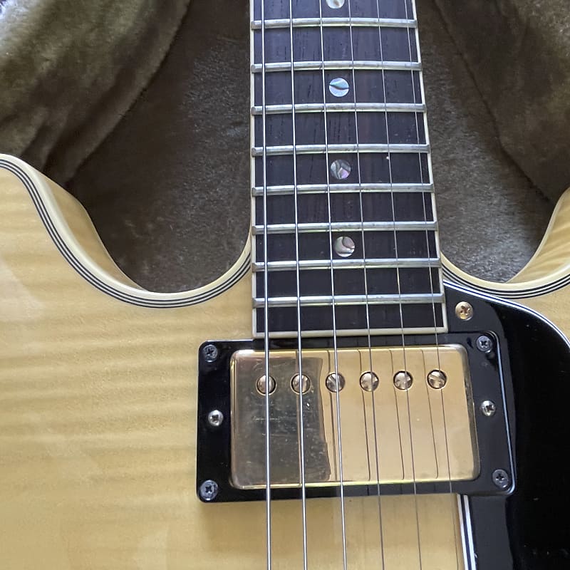 Stafford FES-1200 ハカランダ指板 セミアコ D.Allen ショップ Pickups ES-335 タイプ