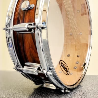 Rogers  XP8/XP10 5-piece kit in Rosewood image 17