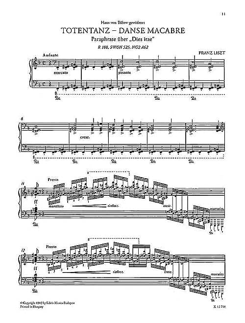 Totentanz Danse Macabre Piano Solo Reverb