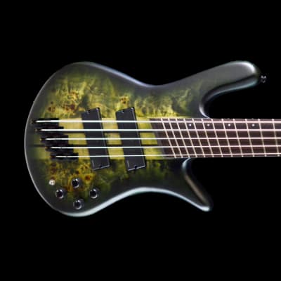 Spector NS Dimension 5 2023 - Haunted Moss for sale