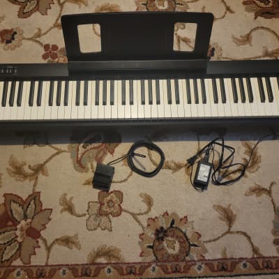 Roland FP-10 88-Key Digital Portable Piano - Black