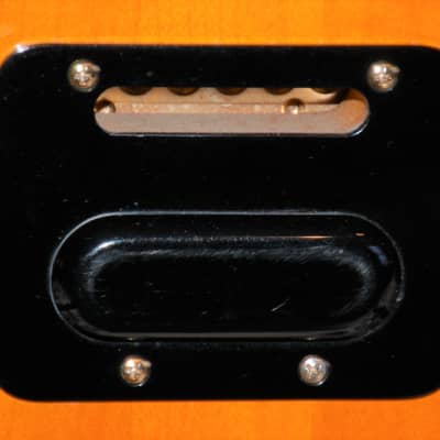 Fury Custom Bandit Electric Guitar w/Tremolo & Gold Hardware, signed by Glenn McDougall image 13