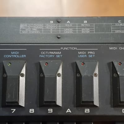 Roland PK-5 Dynamic MIDI Pedal Controller | Reverb