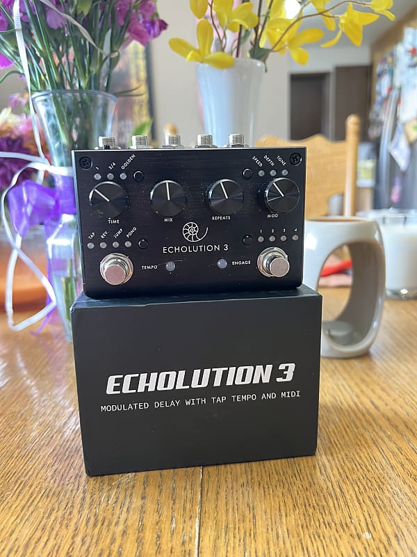 Pigtronix Echolution 3