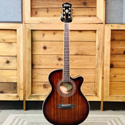 Washburn W-2021 Dreadnought Solid Quilted Ash Top Acoustic Guitar 