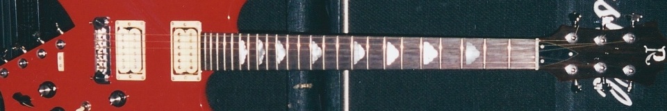 Tremendous Guitars by Terry