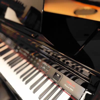 ORLA – GRAND 5OO Digital Piano - Black (LOCAL DELIVERY AVAILABLE, CONTACT US)! image 14