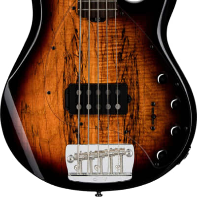 Sterling StingRay 5 RAY35 5-String Spalted Maple Bass Guitar, Rosewood Fingerboard, 3-Tone Sunburst image 1