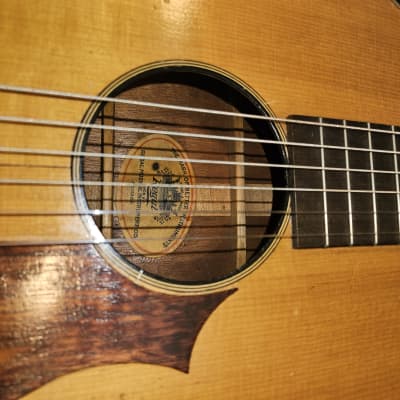 Regal Parlor Guitar Early 20th (video/ sound sample) image 10