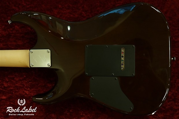 T's Guitars DST-Spider22 / Flame w/ Buzz Feiten Tuning