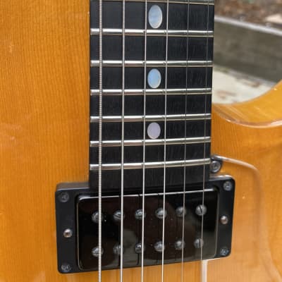 Westville Solar TD Thinline Archtop Jazz Guitar image 15