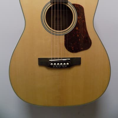 Cort L100C NS Concert Body Acoustic Guitar w/ Natural Satin Finish image 1