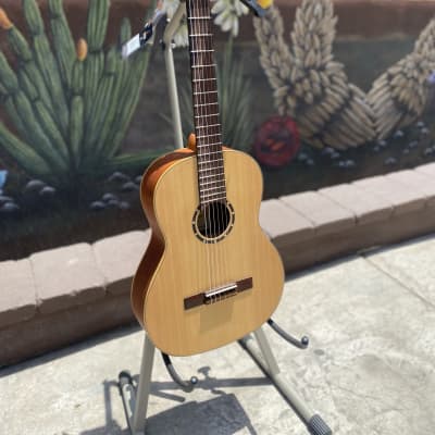 Ortega Family Series R121 Acoustic Guitar image 4
