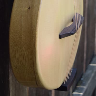 Bright Guitars BearCub™ mini archtop guitar image 11