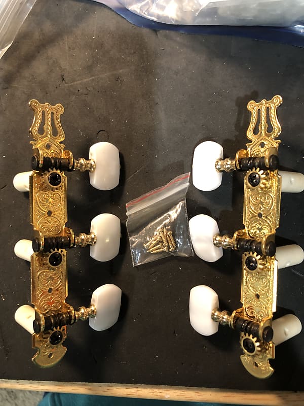 Unknown Classical Guitar Tuners 2022 - Gold with White Pearl image 1