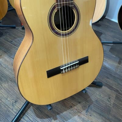 Orpheus Valley Rondo RS Classical Nylon-String Guitar (B-Stock) for sale