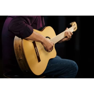 Ortega Signature Series Thomas Zwijsen Acoustic-Electric Nylon Classical Guitar w/ Bag image 20