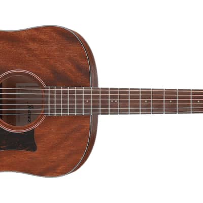 Ibanez AEW21VK-NT1201 Natural Acoustic/Electric Guitar