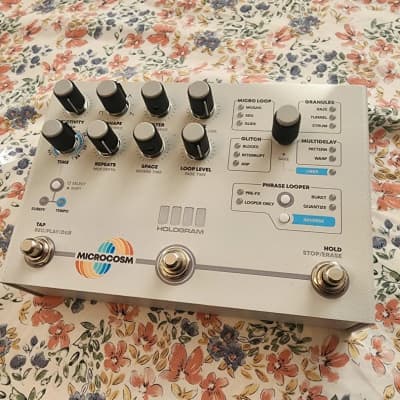 Hologram Electronics Microcosm | Reverb