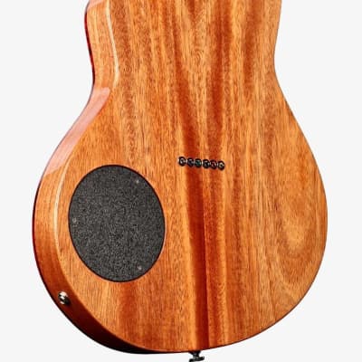 Rick Turner Renaissance RS6 2023 - Ash image 2