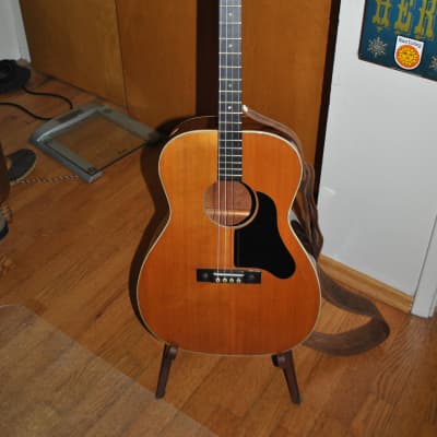 Regal (Harmony) tenor guitar w/TKL hard case image 1