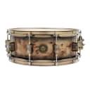 PDP Pacific Drums & Percussion PDLT5514SSMB 2023 LE Mapa Burl 5.5" x 14" Snare