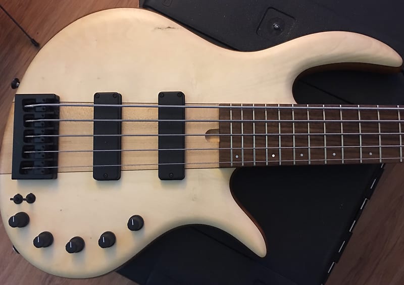 Elrick Platinum Level Hand Carved Neck Thru Holly on Mahogany Five 5 String  Bass! | Reverb