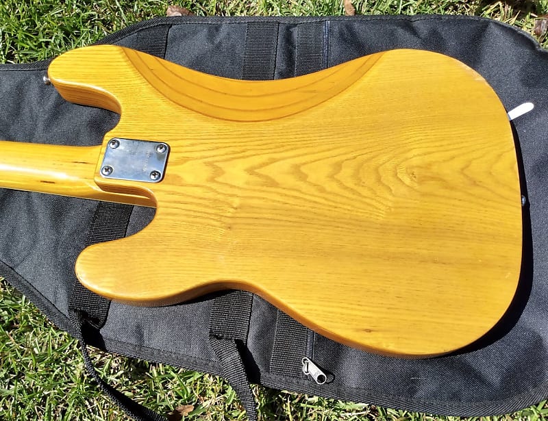 Vintage 1970's Ampeg Little Stud Bass - Natural Finish
