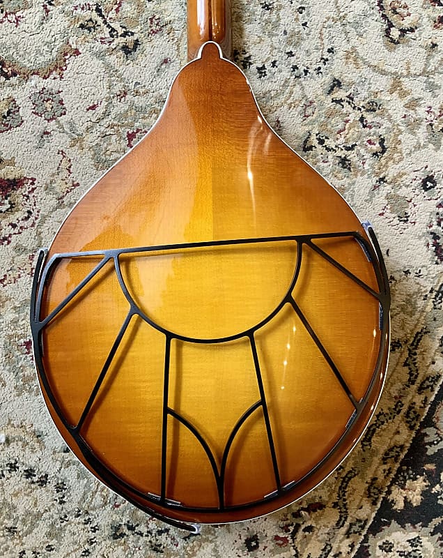 ToneGard for octave mandolin- OMGard image 1