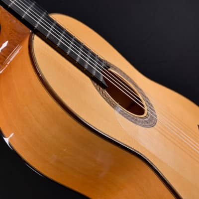 Esteve Flamenco Guitar Model 8F image 6