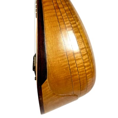 Stridente Student Mandolin 1900's image 8
