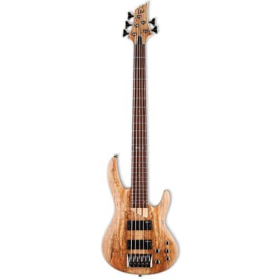 ESP LTD B-205SM 5-String Bass(New) image 2