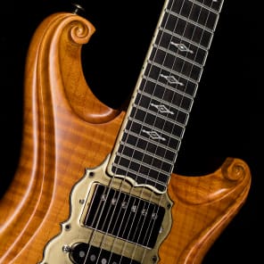 Scott walker store guitars for sale