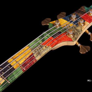 KD "Picasso" 5 string Electric Bass Unique Boutique Handmade image 13