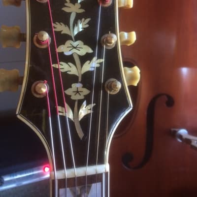 Epiphone Zephyr DeLuxe Regent 1950 - 1957 | Reverb Epiphone Zephyr DeLuxe Regent 1950 - 1957 | Reverb