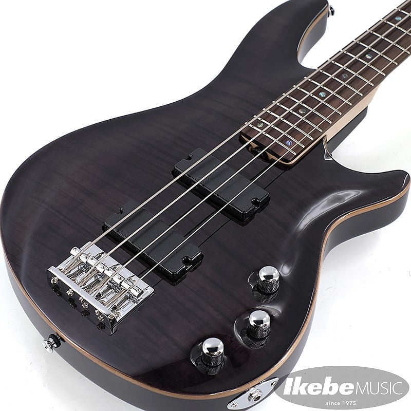 SCHECTER JOL-CT-B-4 (STBK)